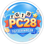 TG1分PC28